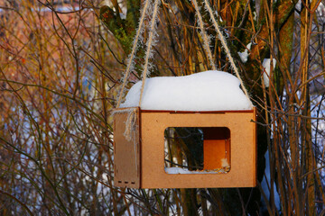 A wooden feeder hangs on a rope.