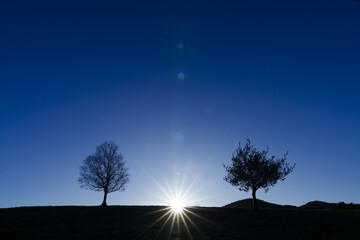 Sun at dawn. Sun among trees at dawn in the mountains of Euskadi.