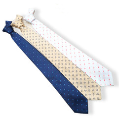 Blue, beige and white patterned ties isolated on white background