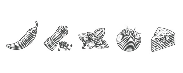 Cooking Spices.Tomato.  Cheese. Jalapeno. Chilli pepper. Pepper shaker. Basil.  Hand drawn engraving style illustrations. Vector illustration.