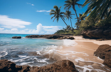 beach with palm trees and sea