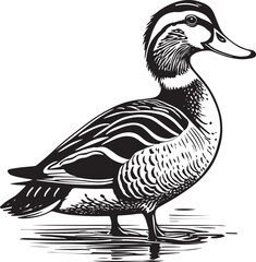 An illustration of a duck standing in water.