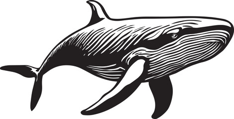 Whale Lineart Illustration