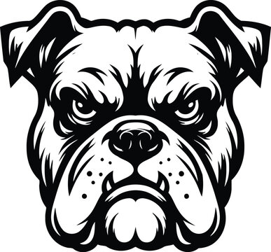 bulldog head, animal illustration