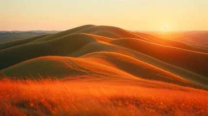 Deurstickers Golden sunlight bathes rolling sand dunes, creating a peaceful and tranquil desert landscape at sunset. © weerasak