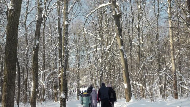 A group of adults and children are walking through a winter forest on a sunny frosty day to a mass event or competition. People are walking through the forest on a sunny winter day. High quality 4k