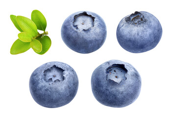 Berry blueberry berries set with green leaf close-up. Fruity still life for organic healthy food, isolated. PNG.
