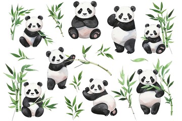 Set of panda in different poses watercolor with green bamboo leaves