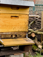Fototapeta na wymiar Ein gelber Bienenstock aus Holz steht im Freien. Im Hintergrund ist eine Bentjeshecke aus Holz sichtbar