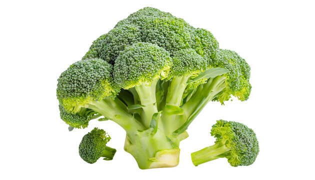 Broccoli isolated on a transparent background.