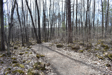 Banning State Park, Sandstone, Minnesota 4-17-2021 - Hiking trails in Banning State Park
