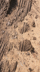Huellas de rueda de bicicleta sobre barro en  camino de tierra