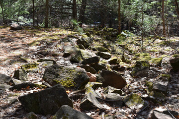 Banning State Park, Sandstone, Minnesota 4-17-2021 - Hiking trails in Banning State Park