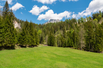 Lush green alpine meadow and forest with panoramic view of majestic mountain peak Foelzstein and Foelzkogel in Hochschwab massif, Styria, Austria, Scenic hiking trail in remote Austrian Alps in summer