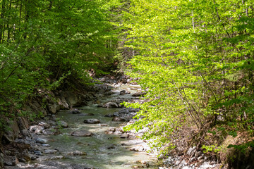 Scenic view of idyllic river Foelzbach in Hochschwab mountain range, Styria, Austria. Hiking trail...