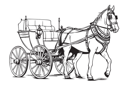 Horse carriage. Coachman on an old victorian Chariot. Animal-powered public transport. Hand drawn engraved sketch.