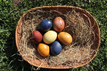 Naturally colored Easter eggs in a basket on a meadow