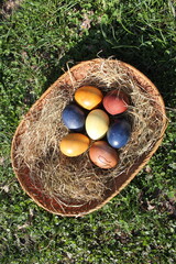 Naturally colored Easter eggs in a basket on a meadow