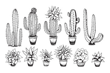 Set of cactus vector illustrations in cute doodle style isolated on white background