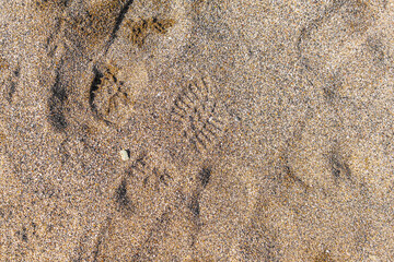Footprints on a Sandy Beach, Walking Footsteps of Shoes on a Sandy Beach 