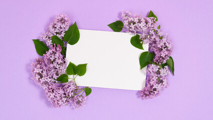 Natural twigs and flowers of lilacs around a rectangular white piece of paper. Сoming of spring. Lilac background.
