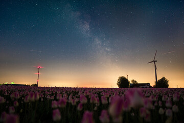 tulips and turbine with milkyway