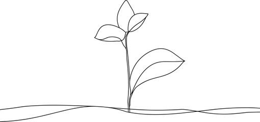 
Plant growing line art, botanical illustration vector, growth cycle drawing, nature line artwork, seedling development, organic growth, gardening vector illustration