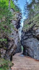 Wooden bridge through Foelzklamm along scenic hiking trail to Foelzkogel in idyllic Hochschwab mountain region, Styria, Austria. Majestic gorge in remote Austrian Alps. Wanderlust in alpine summer