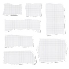 Set of checkered paper of different shapes ripped scraps fragments wisps isolated on white background. Paper collage.