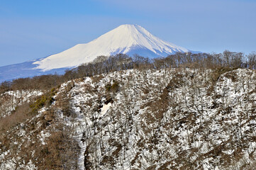 雪稜の向こうに聳える富士山　塔ノ岳の大倉尾根より望む
