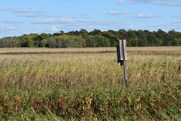 Landscape image of prairie lake area of Minnesota Department of Natural resources near Nicollet with Duck house