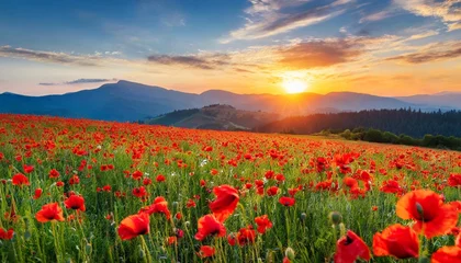 Gordijnen field of blooming corn poppy at sunset wonderful summer landscape of carpathian mountains in evening light beautiful nature background with red flowers © Pauline