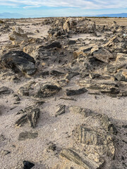 Obsidian Rocks on the Shore of the Salton Sea found at Obsidian Butte in Indio