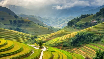 Badkamer foto achterwand beautiful terraced rice field in hoang su phi in vietnam © Pauline