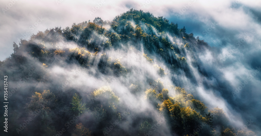 Wall mural aerial view of mountain forest in low clouds at sunrise in summer