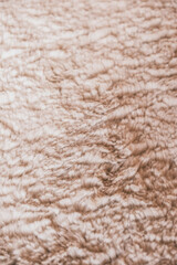 Background picture of a soft fur white carpet. Wool sheep fleece closeup texture background