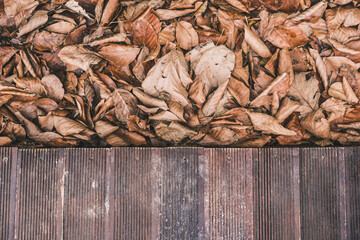 Yellow beautiful dry leaves lie on the ground, with wooden floor. Background of yellow fallen leaves in the backyard