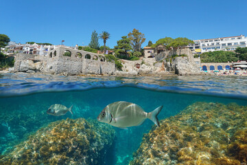 Spain Mediterranean sea, waterfront in the town of Calella de Palafrugell with fish underwater, split view half over and under water surface, natural scene, Costa Brava, Catalonia - obrazy, fototapety, plakaty