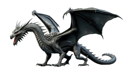 Black dragon isolated on transparent background
