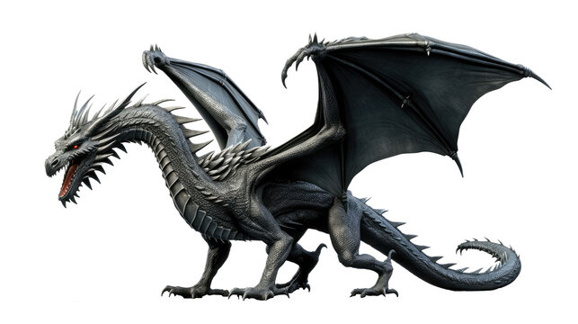 Black dragon isolated on transparent background