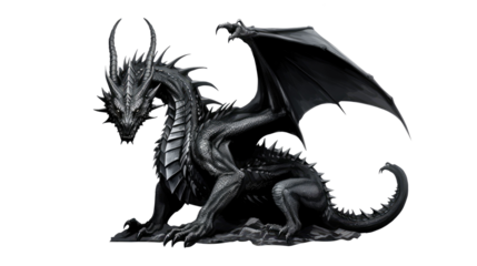 Black dragon isolated on transparent white background
