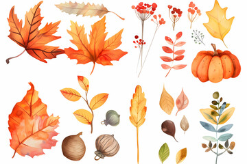 autumn leaves and acorns - obrazy, fototapety, plakaty