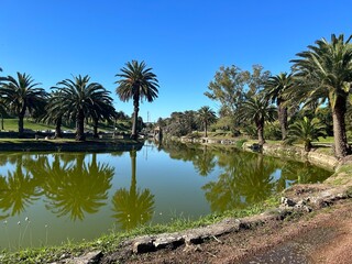 Obraz premium LAGO DEL PARQUE
