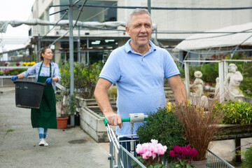 Excited middle-aged male customer collecting flowers and plants in cart in greenhouse