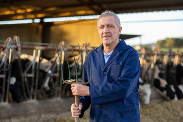 Portrait of elderly livestock farm worker in blue work coat posing with pitchfork in hands in...