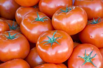 Close up on pile of ripe red tomatoes on the vine piled for sale at Farmer's Market. The tomato is the world's most popular fruit with more than 60 million tons are produced each year.
