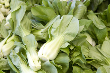 Fototapeta premium Close up on pile of freshly picked Bok Choy on display for sale at Farmer's Market