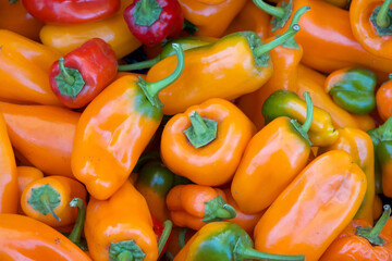 Close up on a pile of farm fresh picked ripe bell peppers. Small orange and red varieties. For sale at farmers market.