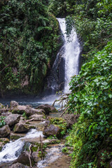 Catarata Gallito de las Rocas - Satipo, Junín, Perú