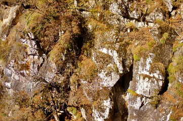 Obraz premium Autumn in the mountains